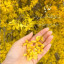 عکس کاربر - atefeh