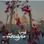 عکس کاربر - رضا