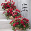 عکس کاربر - علی جنگی