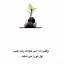 عکس کاربر - Vahid