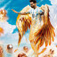 عکس کاربر - سپهر شیری