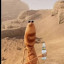 عکس کاربر - من این سنگو دوس ندارم