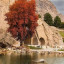 عکس کاربر - کوروش