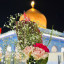 عکس کاربر - ااا