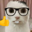 عکس کاربر - Nerd cat🤓