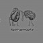 عکس کاربر - عـلـی