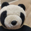 عکس کاربر - panda🐼