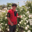 عکس کاربر - Mohammad