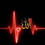 عکس کاربر - شهزاده رامین 