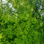 عکس کاربر - IRAN120