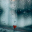 عکس کاربر - Bahar