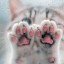 عکس کاربر - ♡HOLMA♡