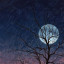 عکس کاربر - last night 