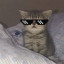 عکس کاربر - ヅ𝑴𝒂𝒎𝒆𝒅 𝑮𝒐𝒓𝒃𝒂🐱