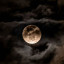 عکس کاربر - Moon_Maker🌙⚡️