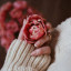 عکس کاربر - فاطمه یساری
