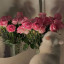 عکس کاربر - miss_aida_1
