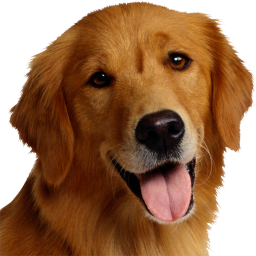 دانلود Dog Breeds