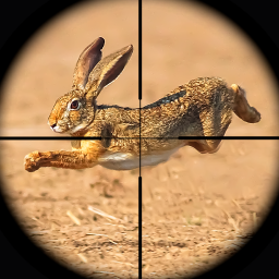 دانلود Rabbit Game Sniper Shooting