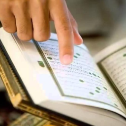 Quran IQ - Learn Arabic & Al Quran (القران الكريم)