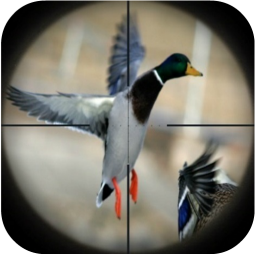 دانلود Duck Hunting Calls