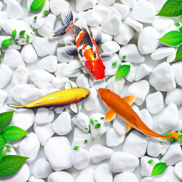 دانلود Fish Live Wallpaper Koi