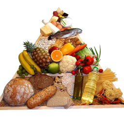 تغذیه طلایی