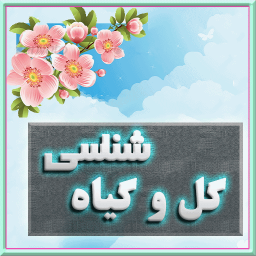 بانک اطلاعات گل ها