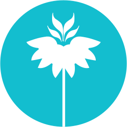 در همسایگی آسمان