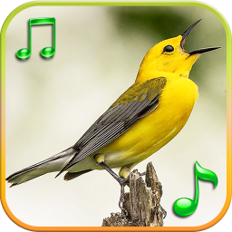 دانلود Birds Sounds Ringtones