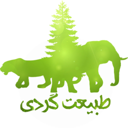 طبیعت گردی(واقعیت مجازی)