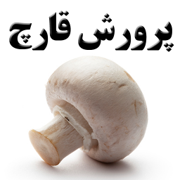 آموزش پرورش قارچ