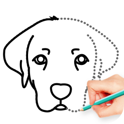 دانلود How To Draw Animal