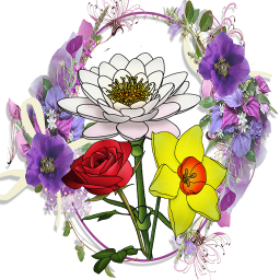 آموزش نقاشی گلها (رایگان)