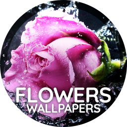 دانلود Flowers wallpaper for phone