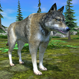 دانلود Wolf Simulator - Animal Games