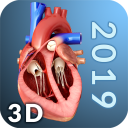 دانلود Heart Anatomy Pro.