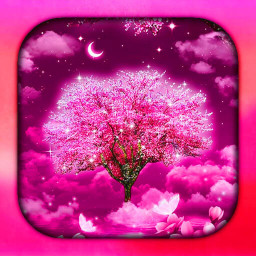 دانلود Cherry Blossom Live Wallpaper