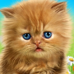 دانلود Talking baby cat. Talking game