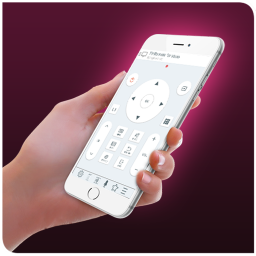 TV Remote for Hisense (IR)
