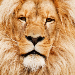 دانلود Animal Sounds