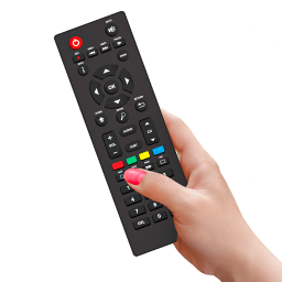 Universal TV Remote Control