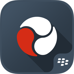 دانلود BlackBerry Workspaces Dynamics