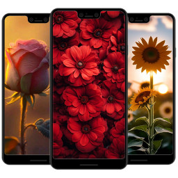 دانلود Flower Wallpaper HD