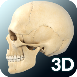 دانلود Skull Anatomy Pro.