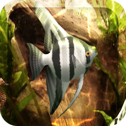 دانلود HD Aquarium Live Wallpaper 3D