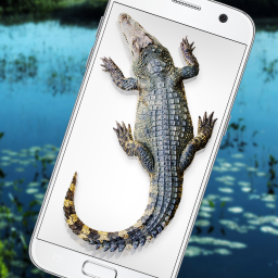 دانلود Crocodile in Phone Big Joke