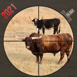 Animal Shooting : Wild Hunting