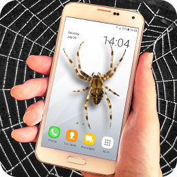 دانلود Spider filter prank