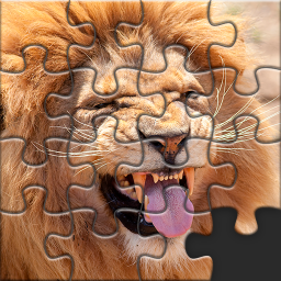 دانلود Puzzles for Adults no internet دانلود Puzzles for Adults no internet